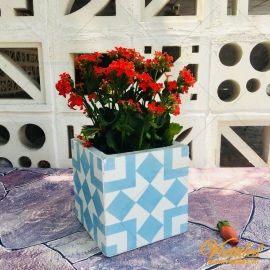 Flower Pot